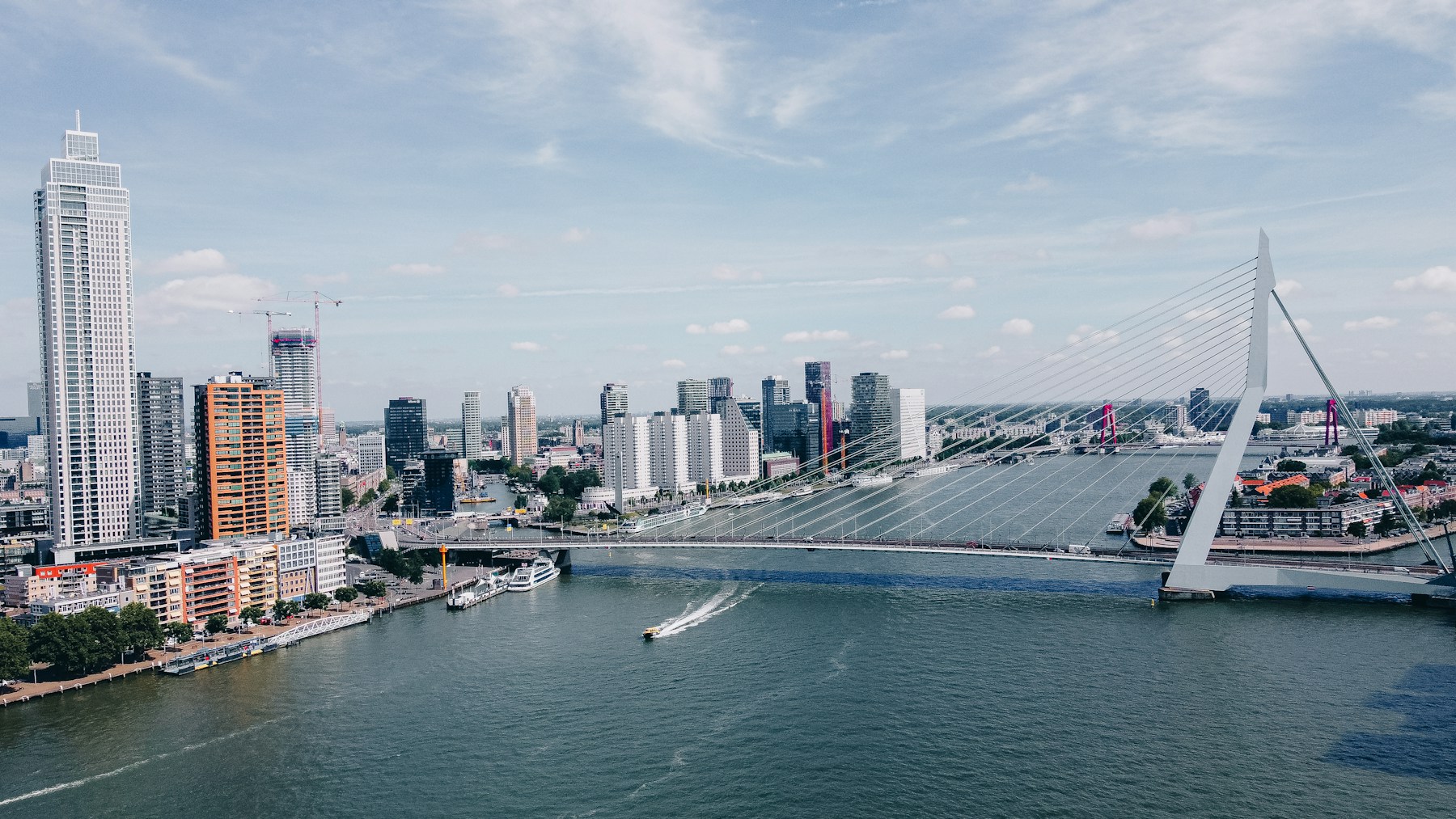 Rotterdam skyline and Erasmus Bridge photographed across the river
