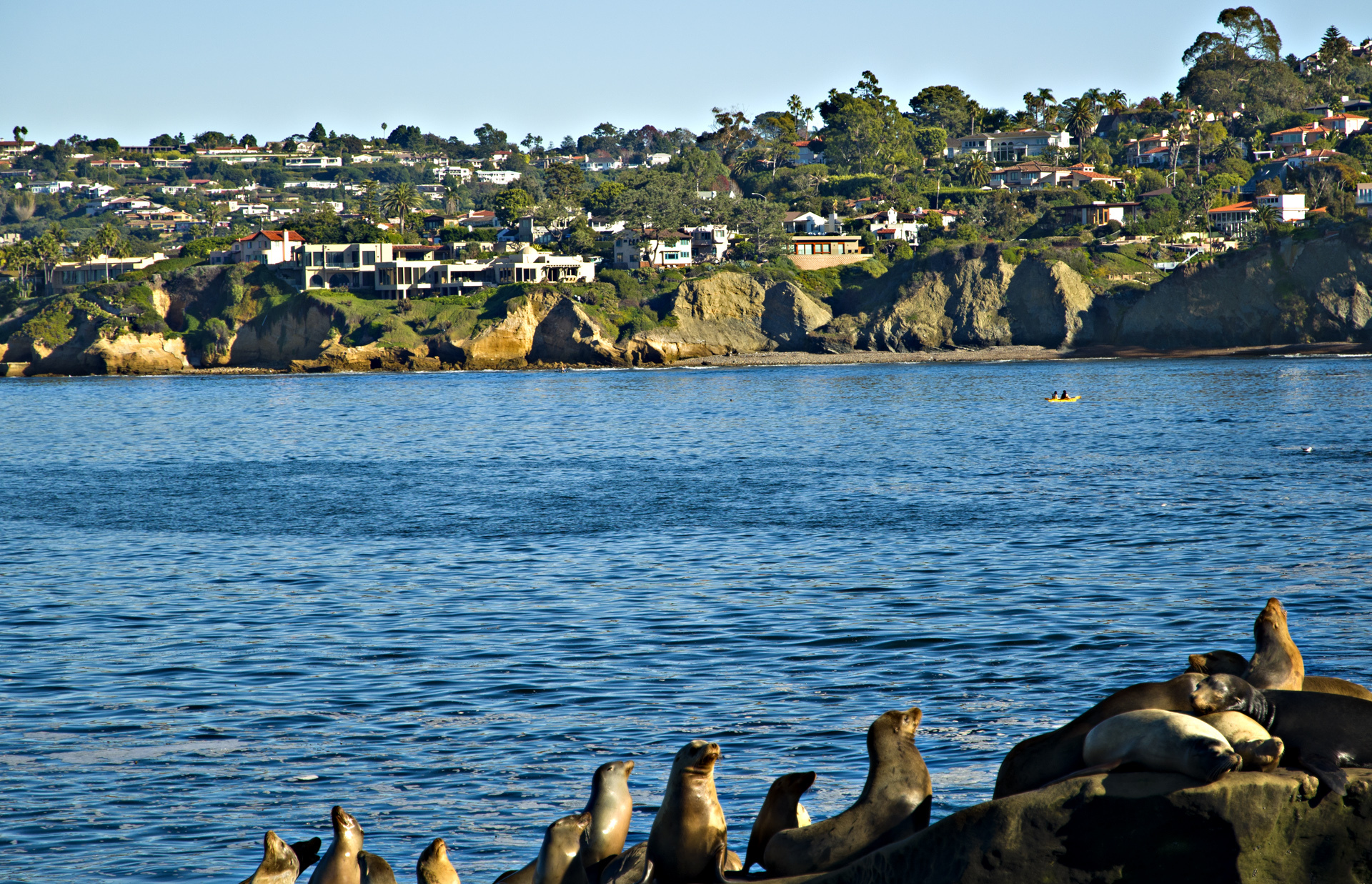 La Jolla Shores view in San Diego for the AI agency service area page